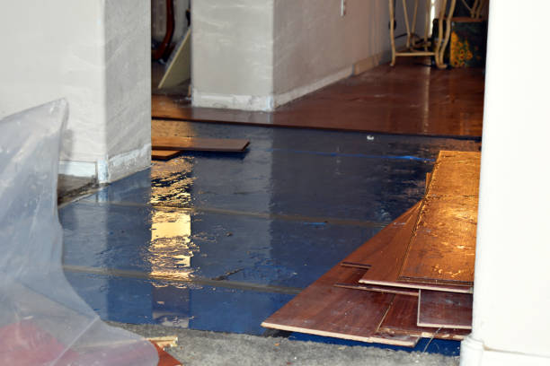 Professional Basement Flood Cleanup technician working in Rockville Centre, NY